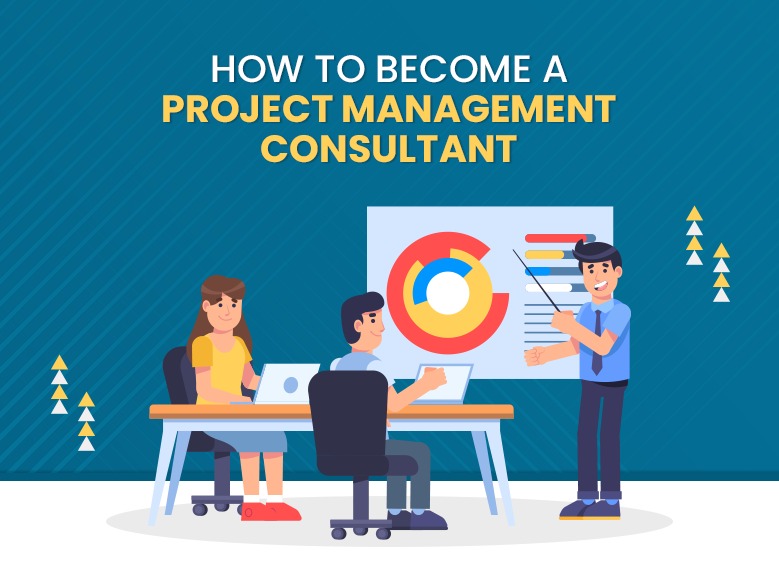 Project Management Consultant